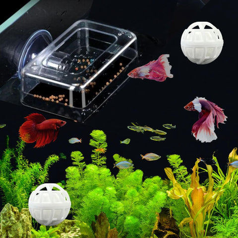 Fish Feeding Box Ring for Turtle with Filter Ball Set, Fish Feeder Ring and Nitrifying Ball, Betta Feeding Floating, Turtle Enrichment Toys, Floating Betta Food Holder (Clear,2Pcs) - Clear - Size S