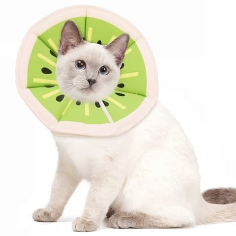 1 Adjustable Protective Collar for Cats and Dogs with Velcro, Compatible with Cats, Green, S