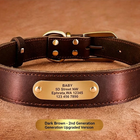 Premium Genuine Leather Dog Collar/Durable Real Leather Adjustable Collars For Male Female(M,Dark brown)