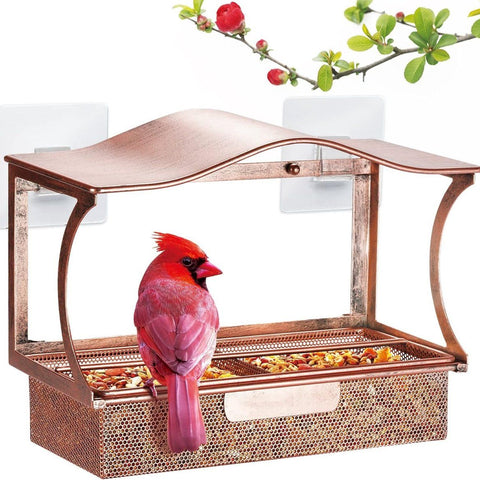 Stainless Steel Window Bird Feeder with Suction Cups, Transparent Weather-Resistant Feeding Station for Watching Small Wild Birds