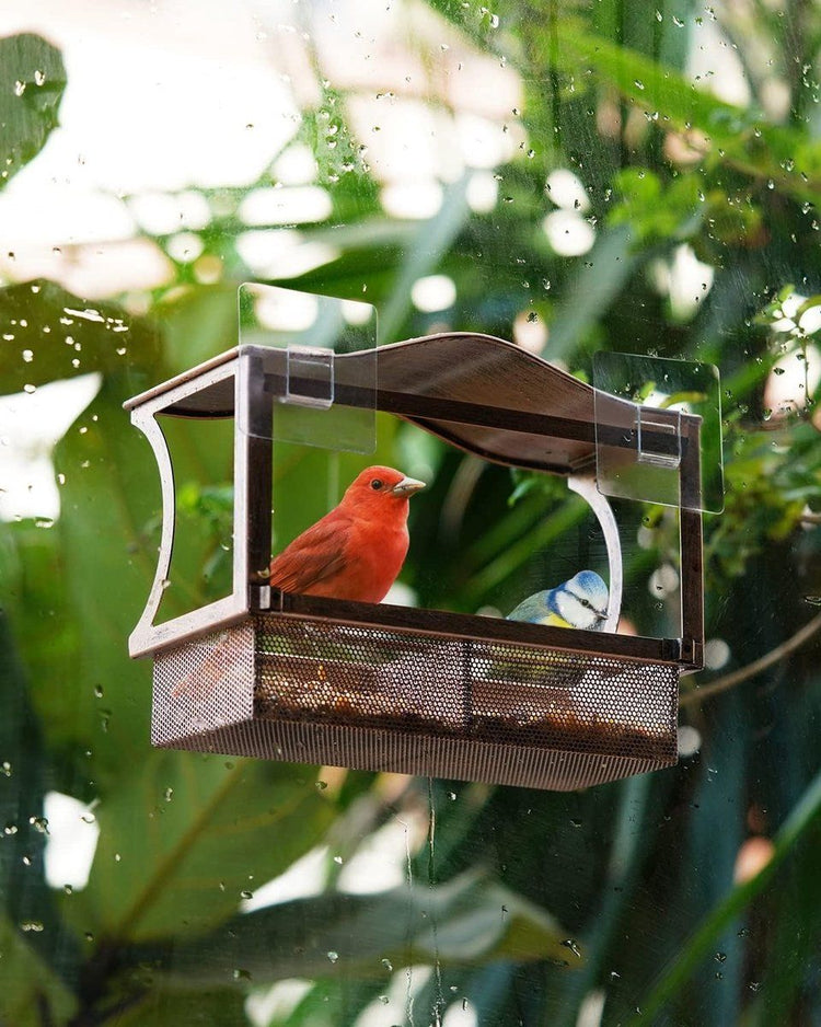 Stainless Steel Window Bird Feeder with Suction Cups, Transparent Weather-Resistant Feeding Station for Watching Small Wild Birds