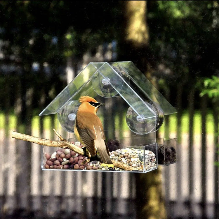 Transparent House-Shaped Window Bird Feeder with Suction Cups, Outdoor Feeding Station for Attracting Small Wild Birds at Home