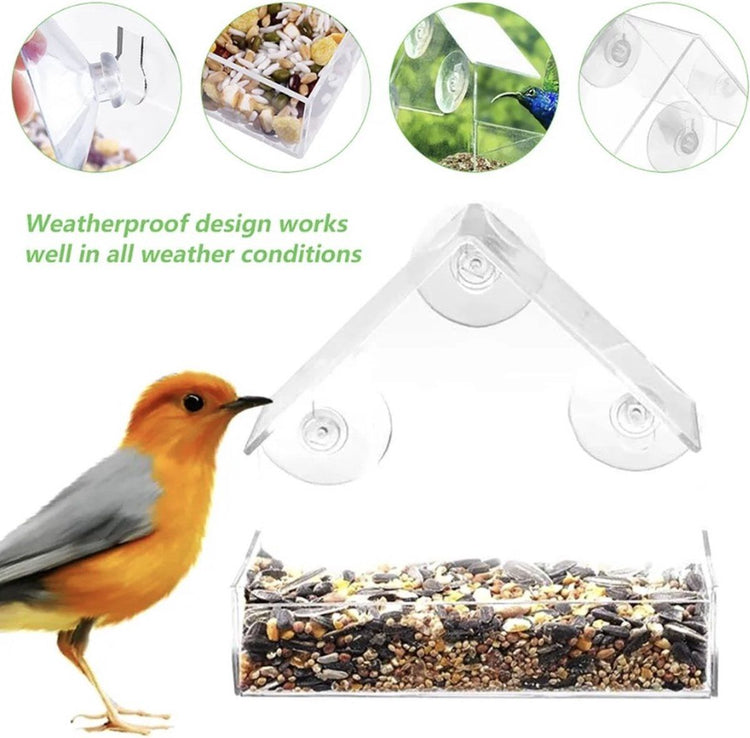 Transparent House-Shaped Window Bird Feeder with Suction Cups, Outdoor Feeding Station for Attracting Small Wild Birds at Home