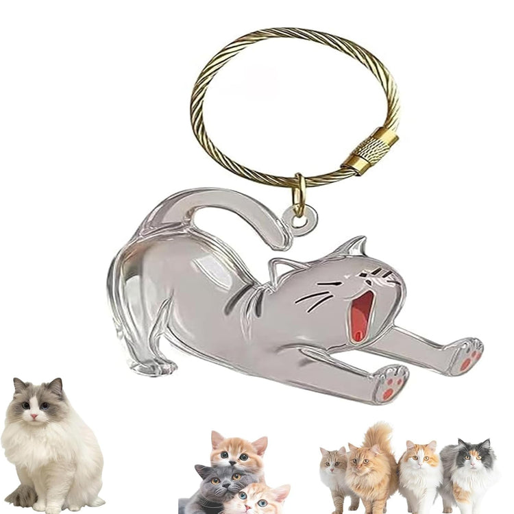 1 Piece Pet Hair Keepsake Keyring with Clear Memory Capsule, DIY Memorial Pendant for Fur, Ashes or Mementos, Grey Dog Design