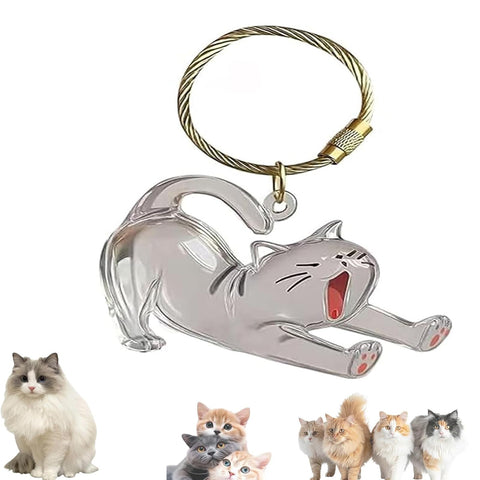 1 Piece Pet Hair Keepsake Keyring with Clear Memory Capsule, DIY Memorial Pendant for Fur, Ashes or Mementos, Grey Dog Design