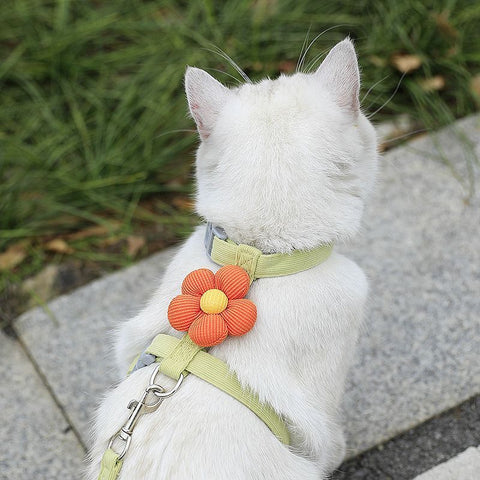 Pet Harness-green+1.8m Leash+Size M