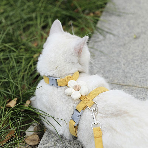 Pet Harness-yellow+1.8m Leash+Size M