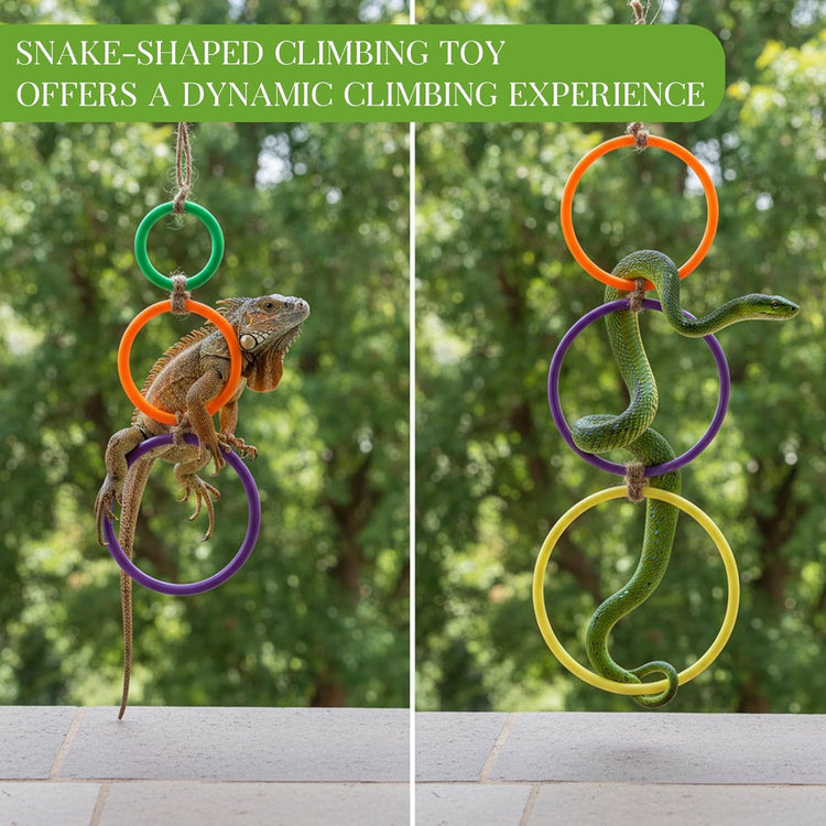 2 Pcs Snake Climbing Rings Snake Enrichment Toys for Ball Python Ball Python Tank Accessories, Reptile Enclosure Accessories Reptile Tank Accessory for Bearded Dragon, Chameleon, Lguana, Gecko, Lizard