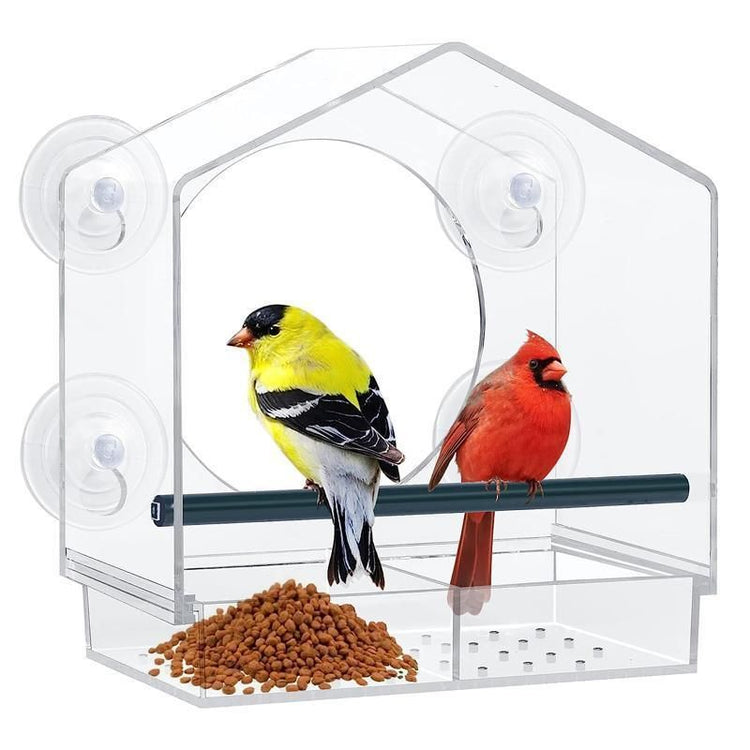 Clear Acrylic Window Bird Feeder with Strong Suction Cups and Removable Seed Tray