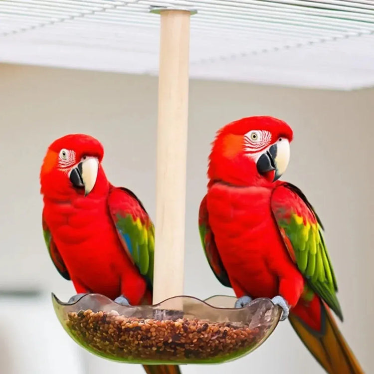 Hanging Bird Feeder for Garden Yard Patio Wild Birds with Easy Fill Design