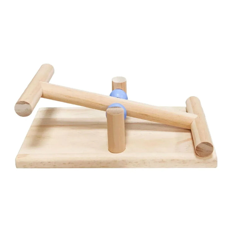 Interactive Bird Seesaw for Small Medium Birds Cage Toy Training Play Equipment