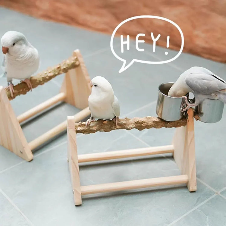 Solid Wood Parrot Desktop Training Rack Station with Food Basin Durable