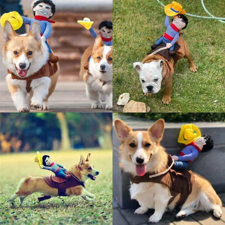 Halloween Dog Costume Pet Accessories Funny Dress Up for Small Medium Dogs - Deadly Doll-M