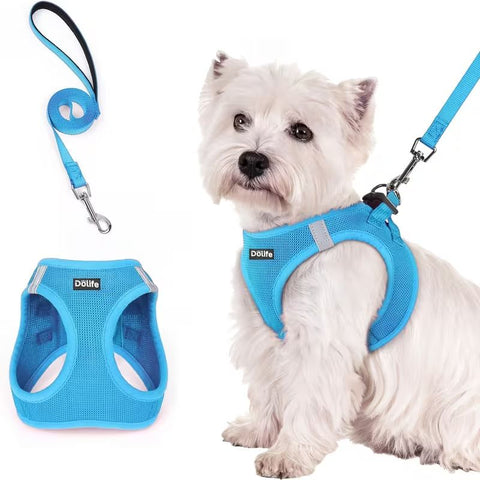 Blue Breathable Dog Harness and Leash Set - Adjustable Reflective Pet Vest with Swivel Clip(Size: XL)