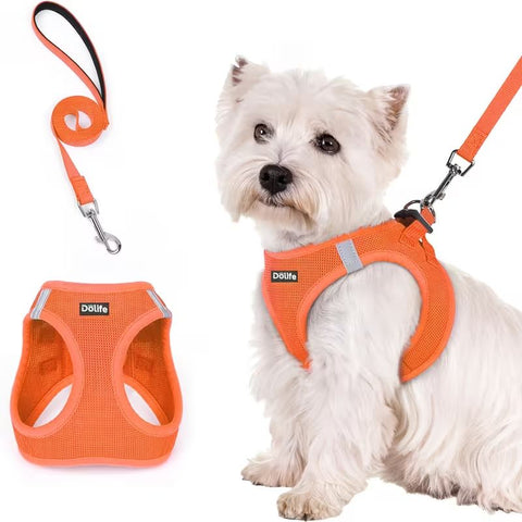 Orange Breathable Dog Harness and Leash Set - Adjustable Reflective Pet Vest with Swivel Clip(Size: M)
