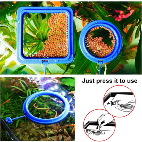 2 pcs Fish Feeding Rings Aquarium Feeder Food Feeding Ring For Guppy Betta Goldfish Blue