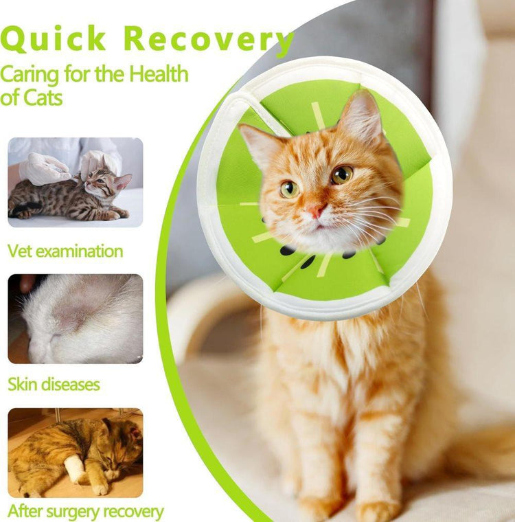 1 Adjustable Protective Collar for Cats and Dogs with Velcro, Compatible with Cats, Green, S