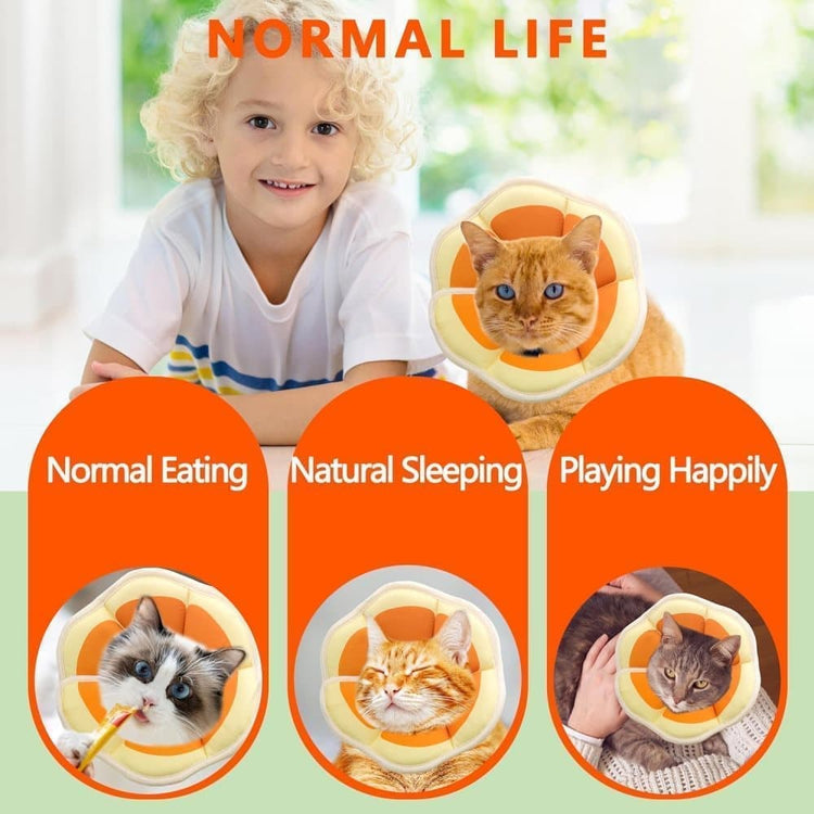 1 Adjustable Protective Collar for Cats and Dogs with Velcro, Compatible with Cats, M, Orange