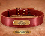 Premium Genuine Leather Dog Collar/Durable Real Leather Adjustable Collars For Male Female(XXL,Red)