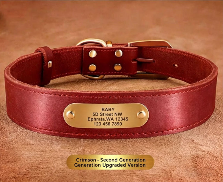 Premium Genuine Leather Dog Collar/Durable Real Leather Adjustable Collars For Male Female(XXL,Red)