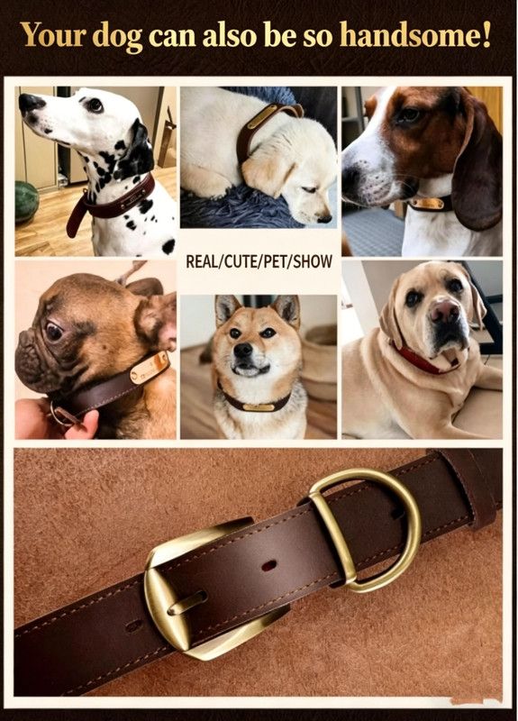 Premium Genuine Leather Dog Collar/Durable Real Leather Adjustable Collars For Male Female(XL,Dark brown)