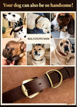 Premium Genuine Leather Dog Collar/Durable Real Leather Adjustable Collars For Male Female(XL,Dark brown)