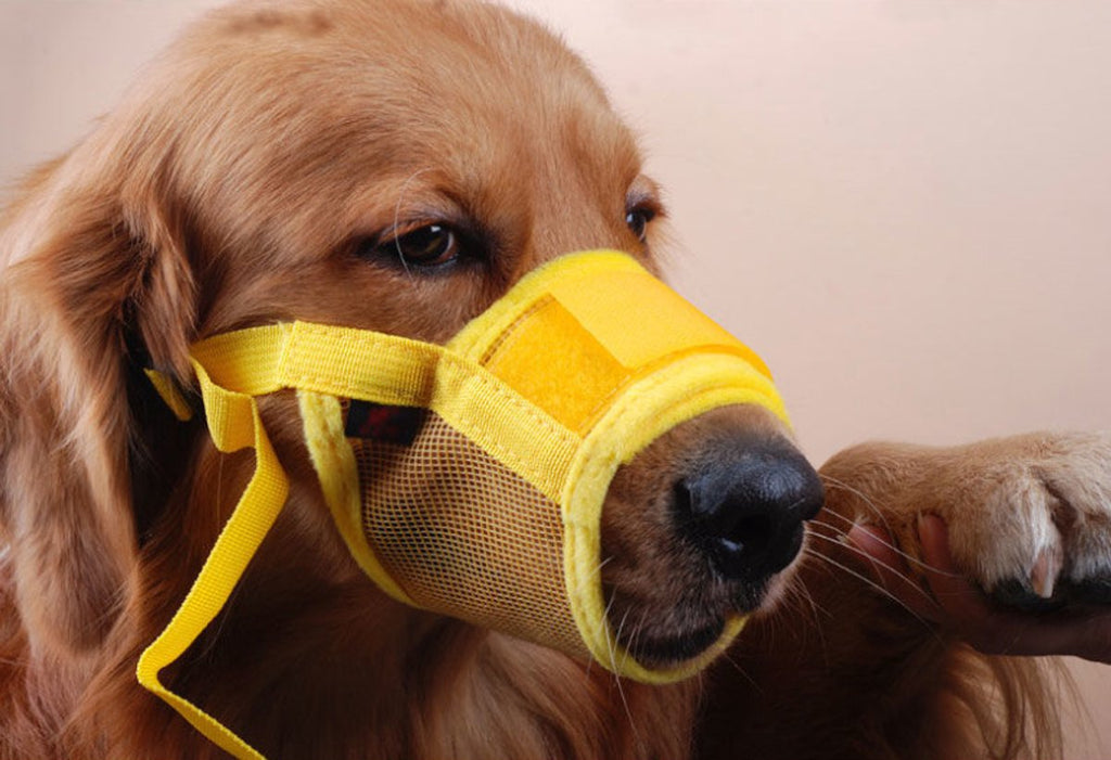 Muzzle for dogs - Soft, breathable - Small dogs, size S yellow
