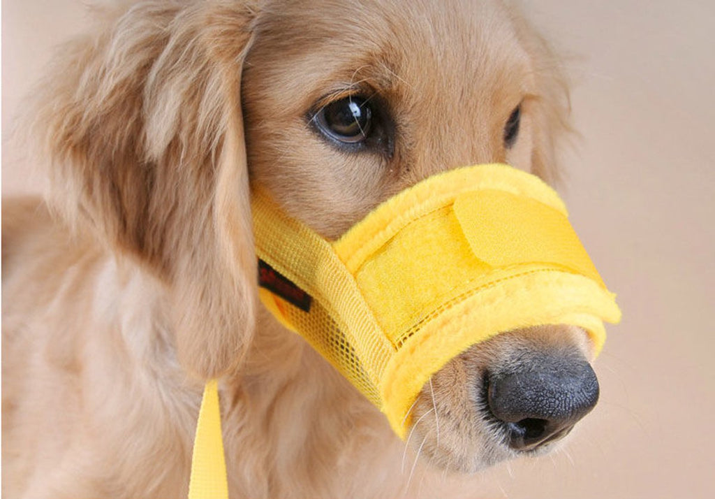 Muzzle for dogs - Soft, breathable - Small dogs, size L yellow