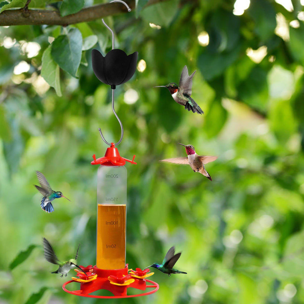 Large Diameter Ant Moat Cup Clear Reservoir Hard Plastic Stainless Hook Heavy-Duty Ant Guard for Hummingbird Feeder Garden Outdoor Backyard Decoration