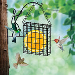 Square Suet Bird Feeder Cage, Heavy-Duty Iron with Protective Coating, Holds One Cake for Nuthatches and Chickadees, Easy-Clean Design, Rust-Resistant Outdoor Hanging Feeder for Backyard Birds Black