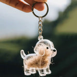 1 Piece Pet Hair Keepsake Keyring with Clear Memory Capsule, DIY Memorial Pendant for Fur, Ashes or Mementos, Grey Fluffy Dog Design
