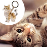 1 Piece Pet Hair Keepsake Keyring with Clear Memory Capsule, DIY Memorial Pendant for Fur, Ashes or Mementos, Blue and White Cat Design