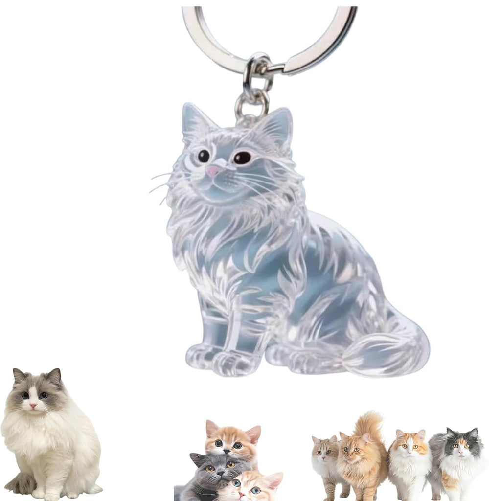 1 Piece Pet Hair Keepsake Keyring with Clear Memory Capsule, DIY Memorial Pendant for Fur, Ashes or Mementos, Grey and White Long-Haired Cat