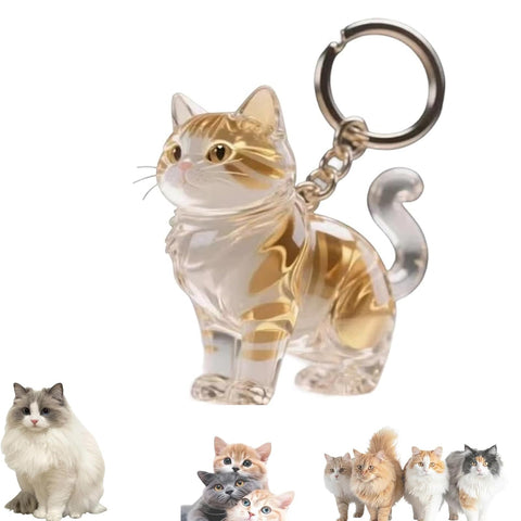 1 Piece Pet Hair Keepsake Keyring with Clear Memory Capsule, DIY Memorial Pendant for Fur, Ashes or Mementos, Orange and White Cat Design