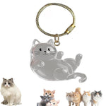 1 Piece Pet Hair Keepsake Keyring with Clear Memory Capsule, DIY Memorial Pendant for Fur, Ashes or Mementos, Grey Cat Design