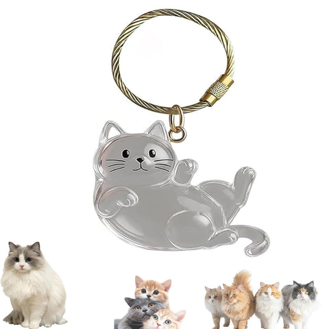 1 Piece Pet Hair Keepsake Keyring with Clear Memory Capsule, DIY Memorial Pendant for Fur, Ashes or Mementos, Grey Cat Design