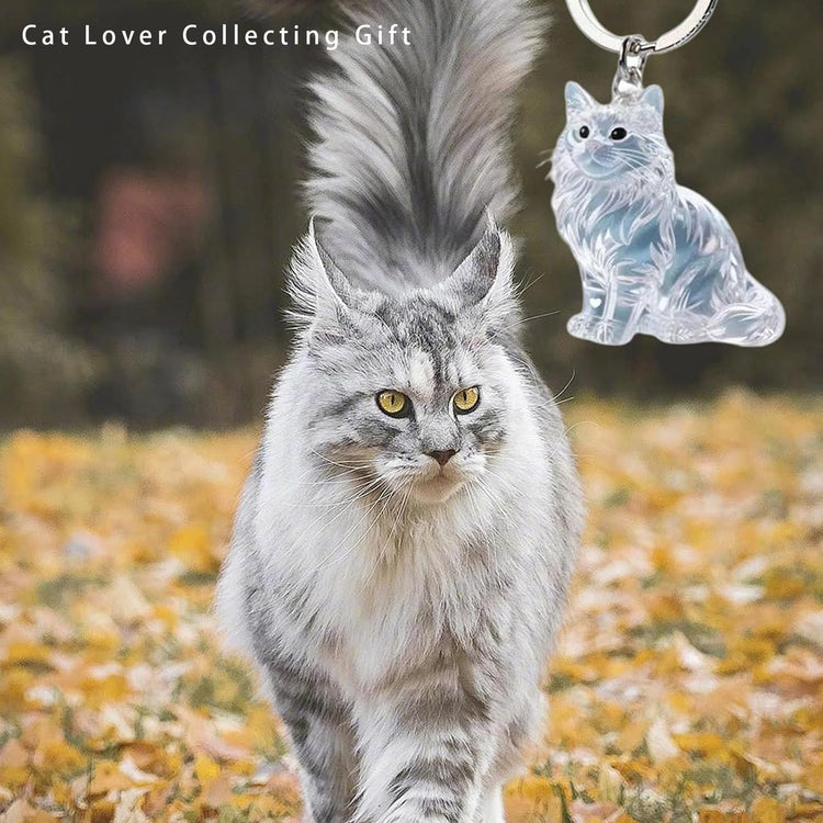 1 Piece Pet Hair Keepsake Keyring with Clear Memory Capsule, DIY Memorial Pendant for Fur, Ashes or Mementos, Grey Cat Design