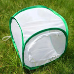1 Pc Green Butterfly Kit With Live Caterpillars, Portable Foldable Insect Habitat Cage and Butterfly House