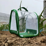 1 Pc Green Butterfly Kit With Live Caterpillars, Portable Foldable Insect Habitat Cage and Butterfly House