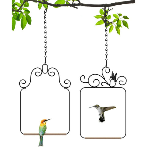 2 Pack Black Hummingbird Swings and Perches, Metal Frame Wild Bird Swing With Wooden Dowel and Hanging Chains for Indoor Outdoor