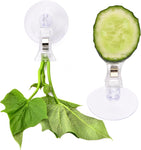 12Pcs Veggie Clips Aquarium Seaweed Clips Fish Food Holder Wide Mouth Clips Plants Suction Cups Algae Clips for Freshwater and Marine Fish Tank (Plastic)