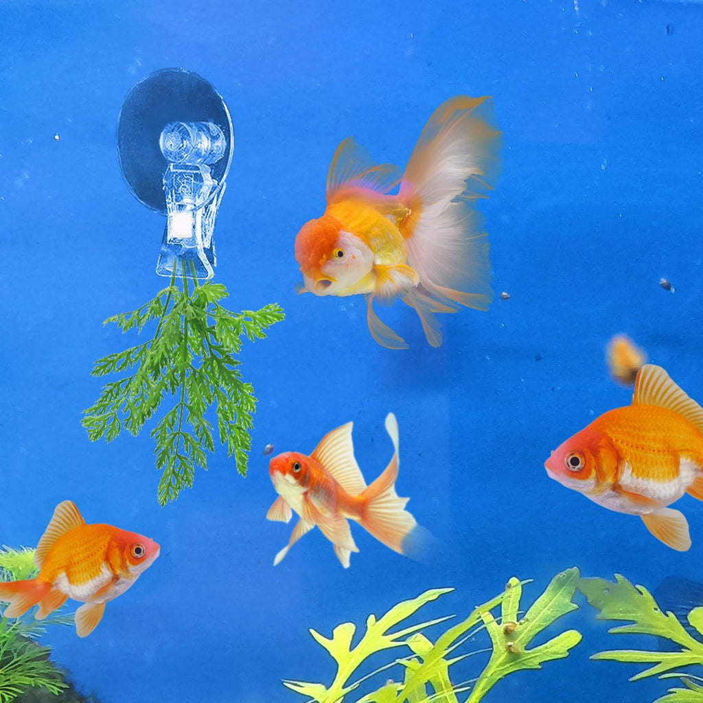12Pcs Veggie Clips Aquarium Seaweed Clips Fish Food Holder Wide Mouth Clips Plants Suction Cups Algae Clips for Freshwater and Marine Fish Tank (Plastic)