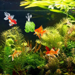 12Pcs Veggie Clips Aquarium Seaweed Clips Fish Food Holder Wide Mouth Clips Plants Suction Cups Algae Clips for Freshwater and Marine Fish Tank (Plastic)