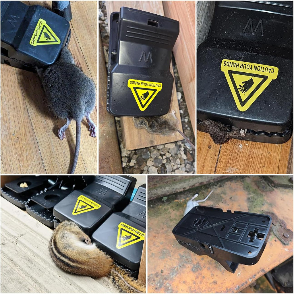 8 Packs Large Mouse Traps, High Sensitivity Rat Snap Best Mouse Traps That Work, Safe Effective Anti Rat Mice Trap Indoor Outdoor, Powerful Rodent Catcher, Easy Clean and Quick Kill Mouse
