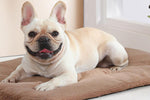2Pcs Pet Blanket Self-Heating Bed Pad Cat Dog Self-Warming Cushion-Khaki M
