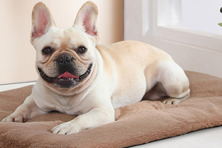 2Pcs Pet Blanket Self-Heating Bed Pad Cat Dog Self-Warming Cushion-Khaki M