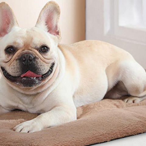 2Pcs Pet Blanket Self-Heating Bed Pad Cat Dog Self-Warming Cushion-Khaki M