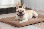 2Pcs Pet Blanket Self-Heating Bed Pad Cat Dog Self-Warming Cushion-Khaki M