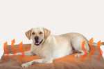 2Pcs Pet Blanket Self-Heating Bed Pad Cat Dog Self-Warming Cushion-Khaki M