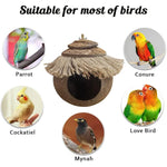 Hanging Coconut Shell Bird Nest With Ladder Cage Landscape Warm Bird House